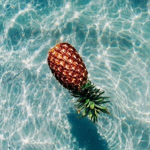 Meet your Posher, Maya